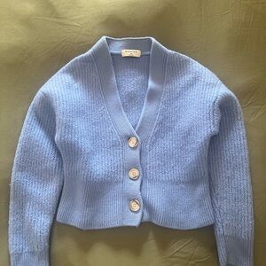 Babaton-Aritzia Baby Blue Merino Wool Cardigan